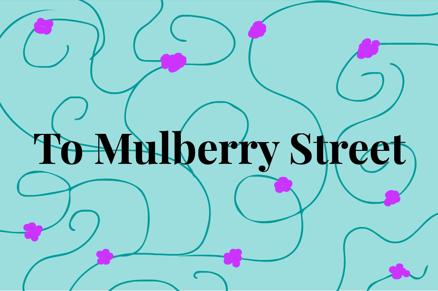 Mulberry Street Animation